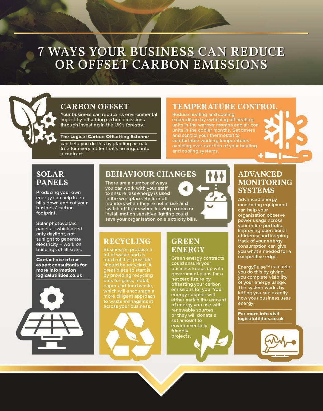 how can companies reduce their carbon footprint