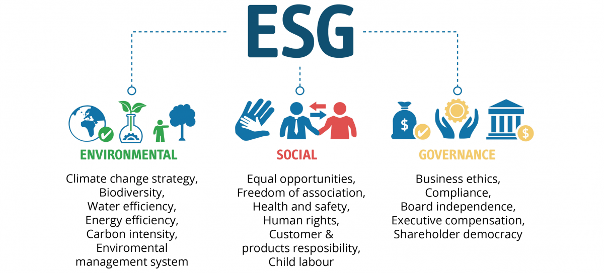 what does an esg analyst do